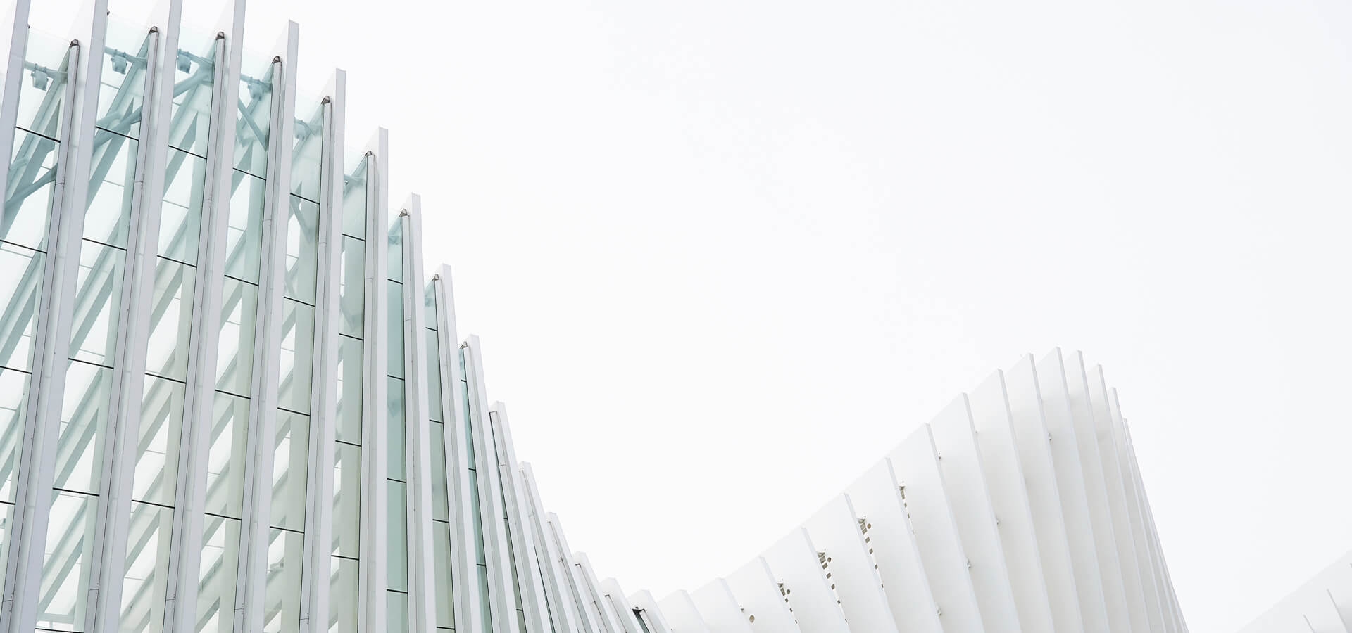 white_wave_1920x900_buildings_luca-bravo-198062 Nexus1Designs Web Design Studio SEO